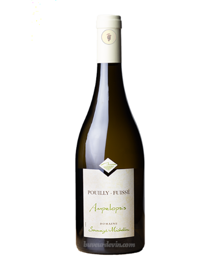 Picture of Saumaize-Michelin Pouilly-Fuisse 'Ampelopsis' 2019