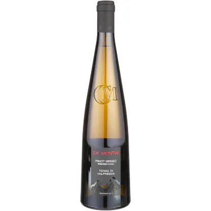 Picture of Terre Di Valfredda "Ca' Montini" Pinot Grigio 2019